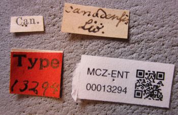 Media type: image;   Entomology 13294 Aspect: labels